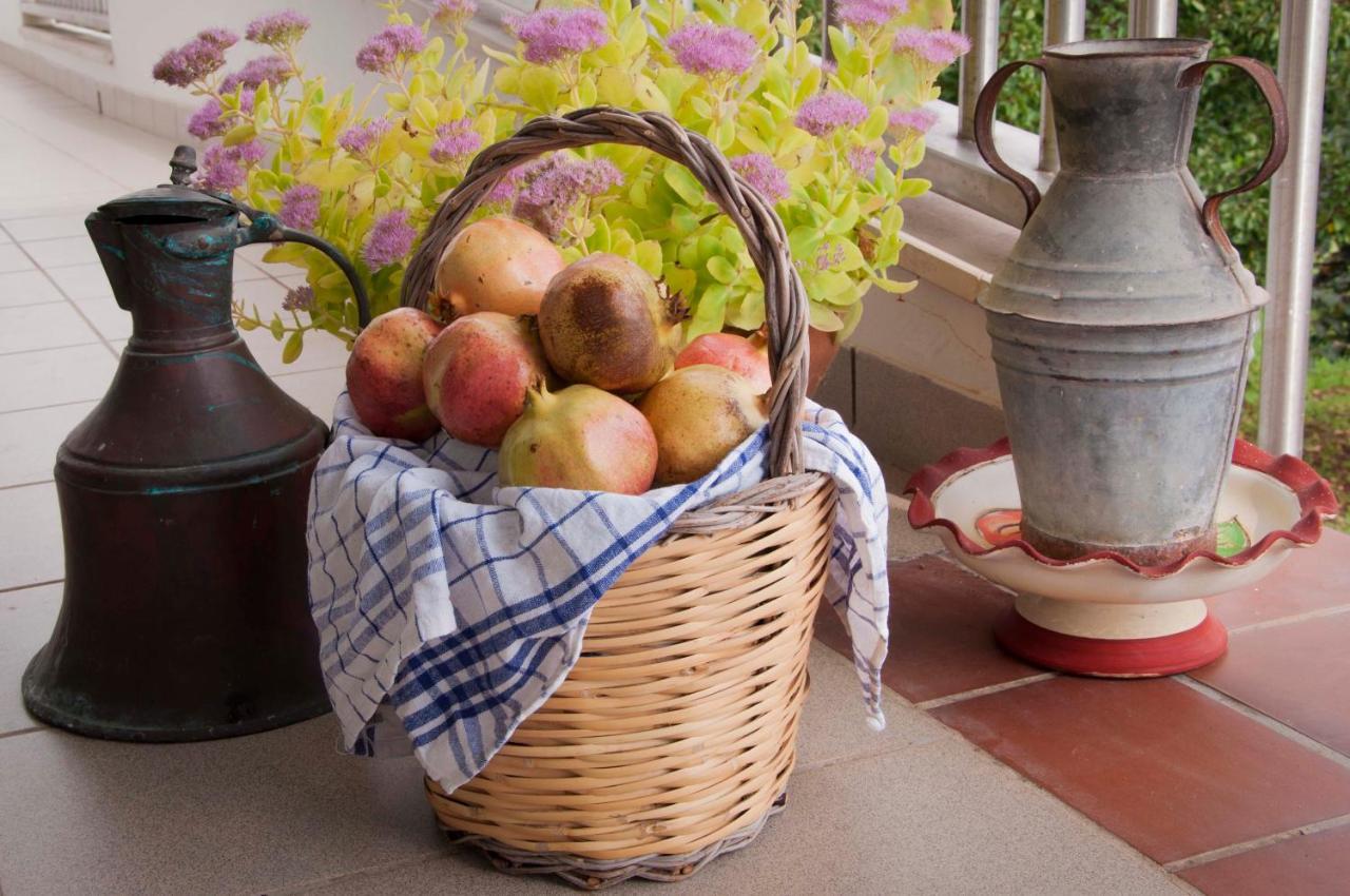 Casa Mastronardi Bed & Breakfast Castellana Grotte Dış mekan fotoğraf