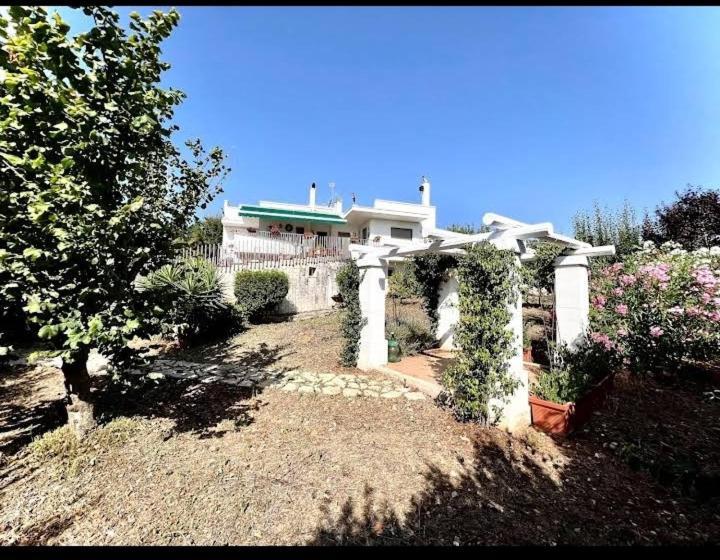 Casa Mastronardi Bed & Breakfast Castellana Grotte Dış mekan fotoğraf